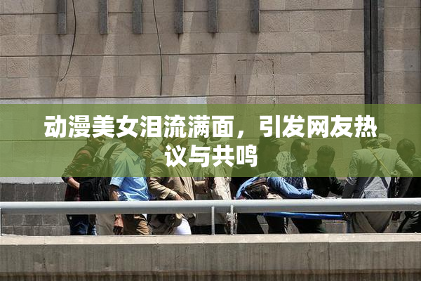动漫美女泪流满面，引发网友热议与共鸣