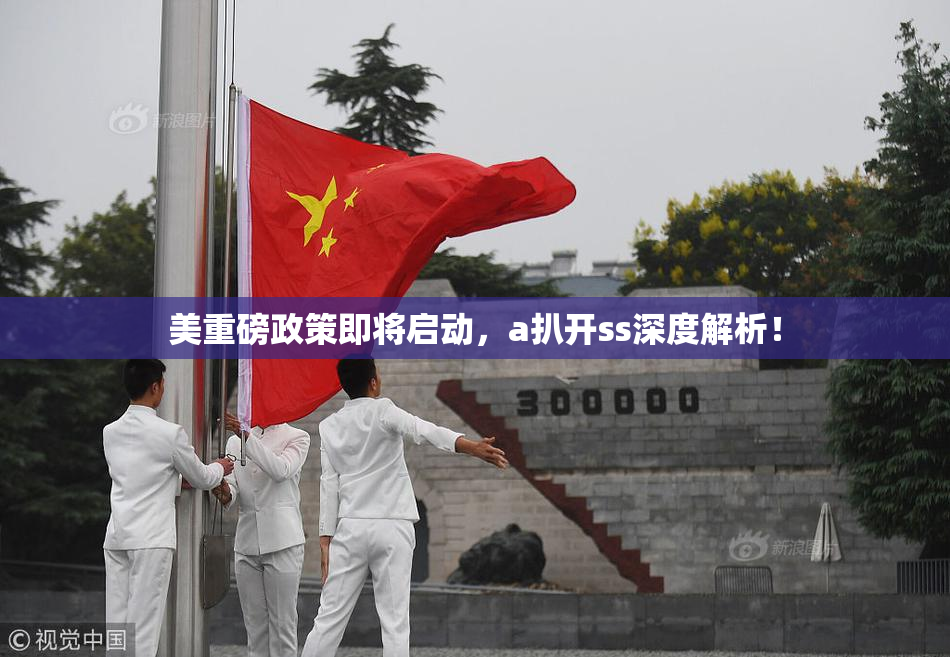 美重磅政策即将启动，a扒开ss深度解析！
