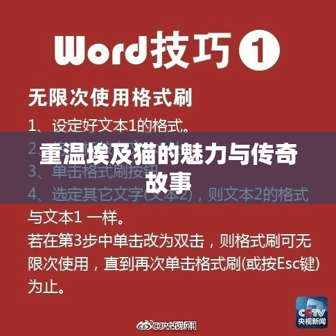 重温埃及猫的魅力与传奇故事