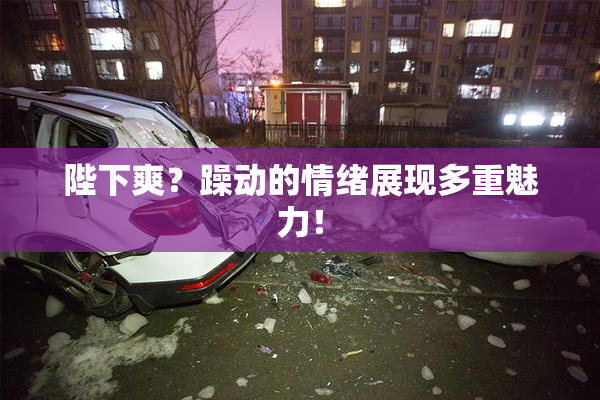 陛下爽？躁动的情绪展现多重魅力！