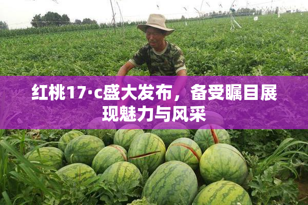 红桃17·c盛大发布，备受瞩目展现魅力与风采