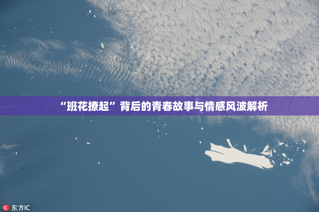 “班花撩起”背后的青春故事与情感风波解析