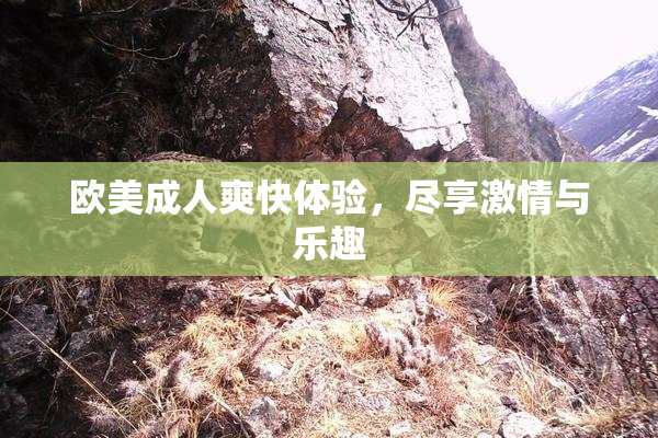 欧美成人爽快体验，尽享激情与乐趣