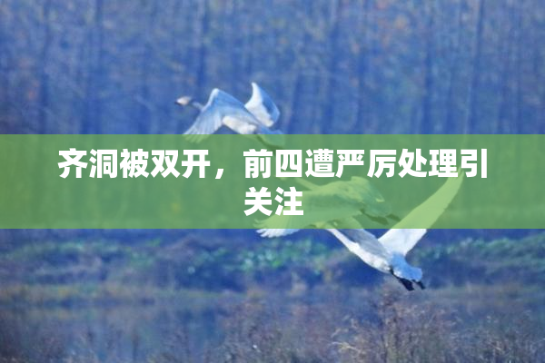 齐洞被双开，前四遭严厉处理引关注