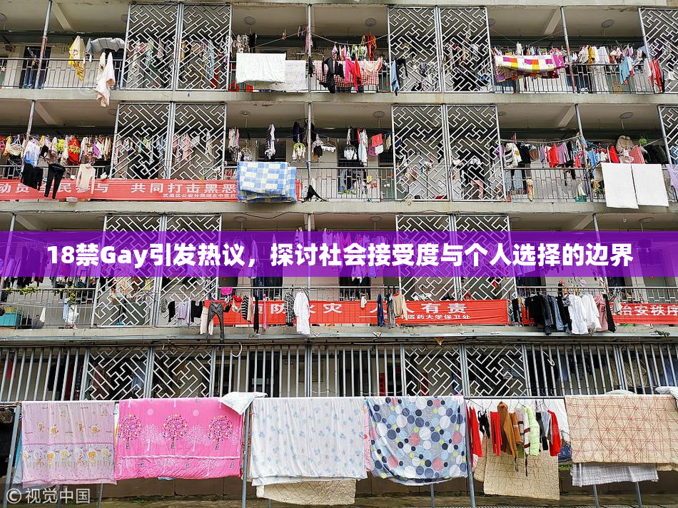 18禁Gay引发热议，探讨社会接受度与个人选择的边界