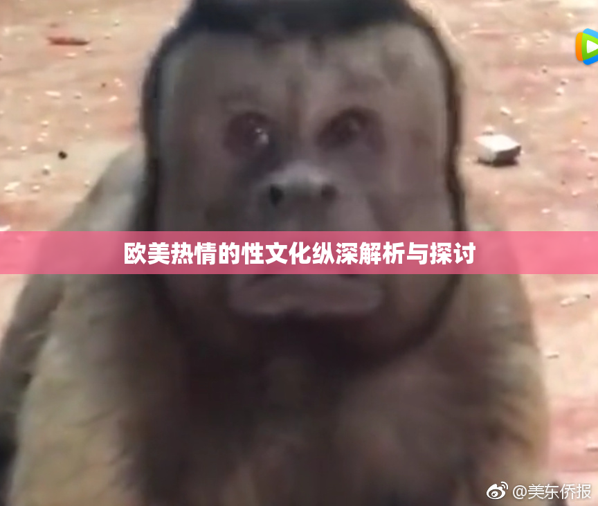 欧美热情的性文化纵深解析与探讨