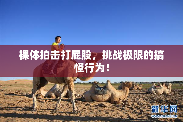 裸体拍击打屁股，挑战极限的搞怪行为！