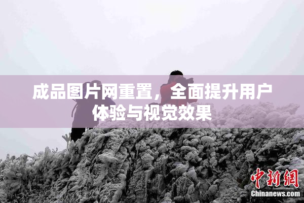 成品图片网重置，全面提升用户体验与视觉效果