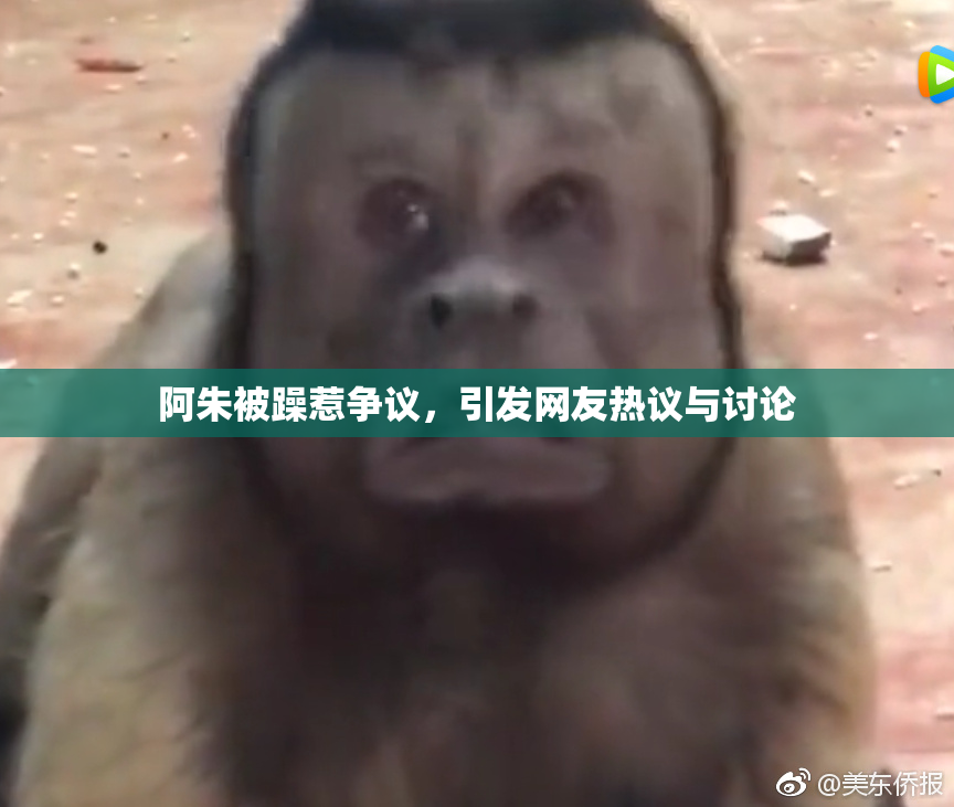 阿朱被躁惹争议，引发网友热议与讨论