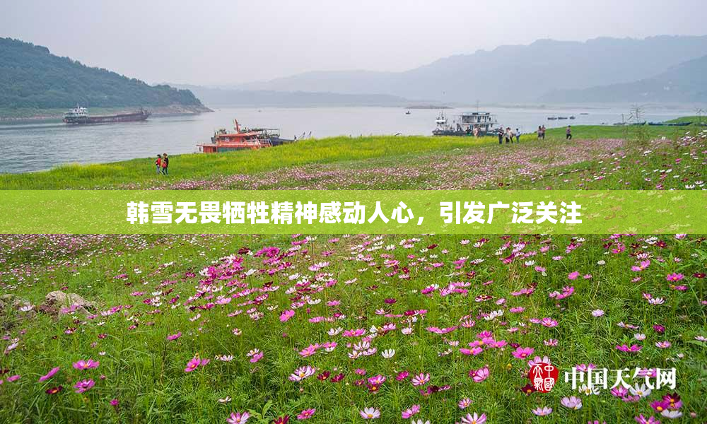 韩雪无畏牺牲精神感动人心，引发广泛关注