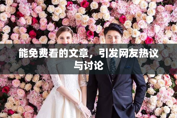 能免费看的文章，引发网友热议与讨论