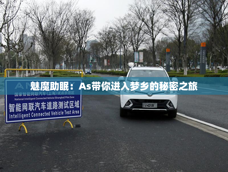 魅魔助眠：As带你进入梦乡的秘密之旅