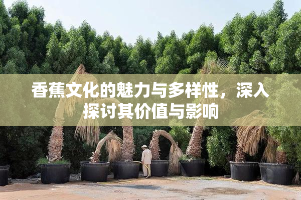 香蕉文化的魅力与多样性，深入探讨其价值与影响