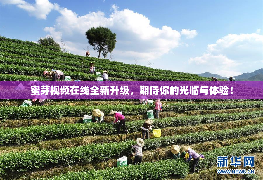 蜜芽视频在线全新升级，期待你的光临与体验！