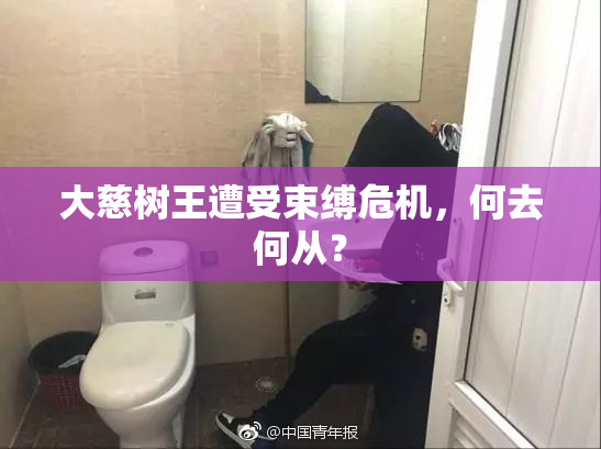 大慈树王遭受束缚危机，何去何从？