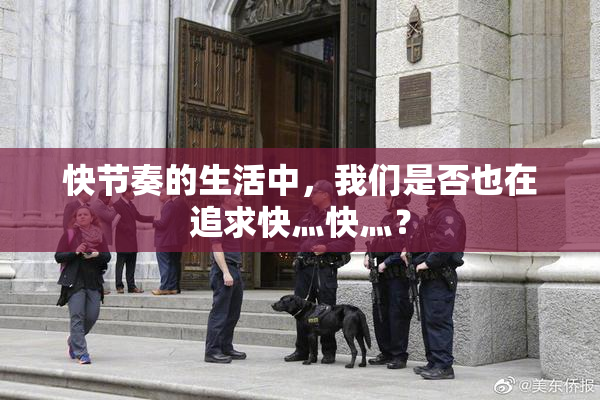 快节奏的生活中，我们是否也在追求快灬快灬？