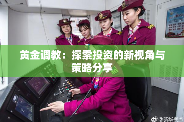 黄金调教：探索投资的新视角与策略分享