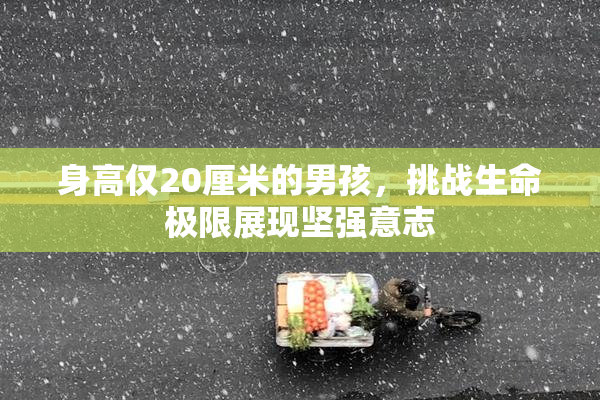 身高仅20厘米的男孩，挑战生命极限展现坚强意志