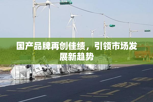 国产品牌再创佳绩，引领市场发展新趋势