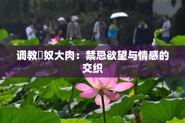 调教婬奴大肉：禁忌欲望与情感的交织