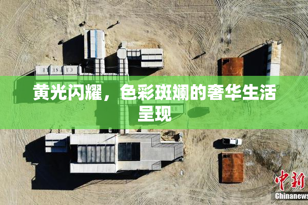 黄光闪耀，色彩斑斓的奢华生活呈现