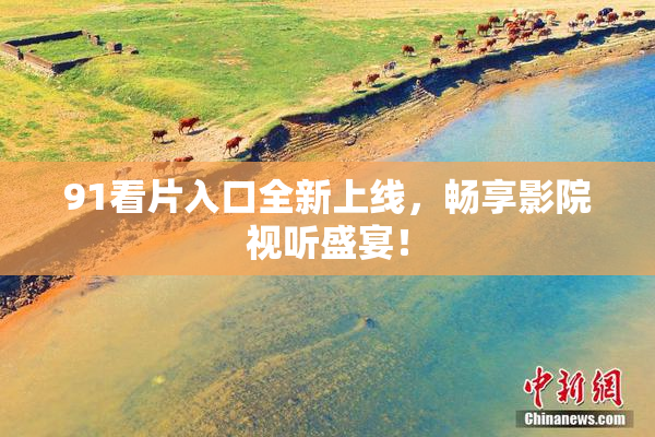 91看片入口全新上线，畅享影院视听盛宴！