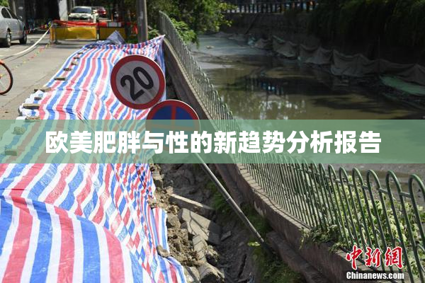 欧美肥胖与性的新趋势分析报告