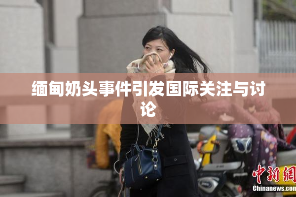 缅甸奶头事件引发国际关注与讨论