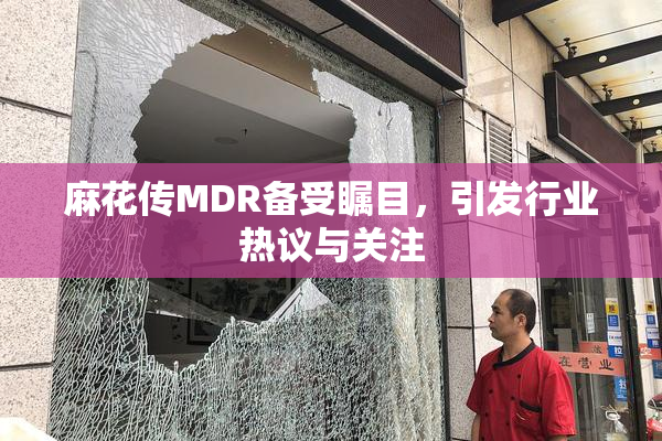 麻花传MDR备受瞩目，引发行业热议与关注