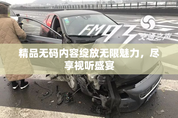 精品无码内容绽放无限魅力，尽享视听盛宴