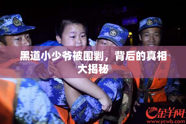 黑道小少爷被围剿，背后的真相大揭秘