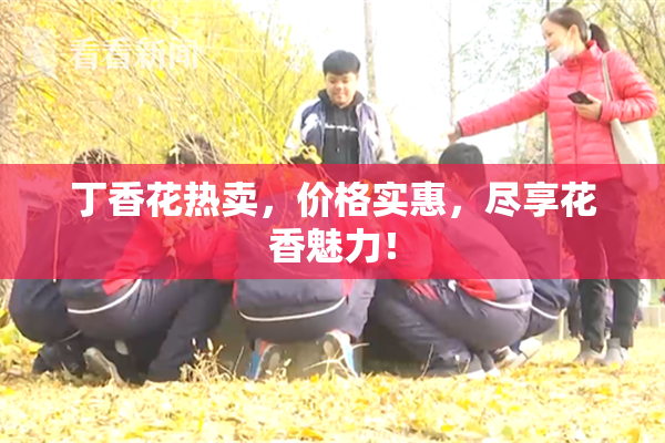 丁香花热卖，价格实惠，尽享花香魅力！