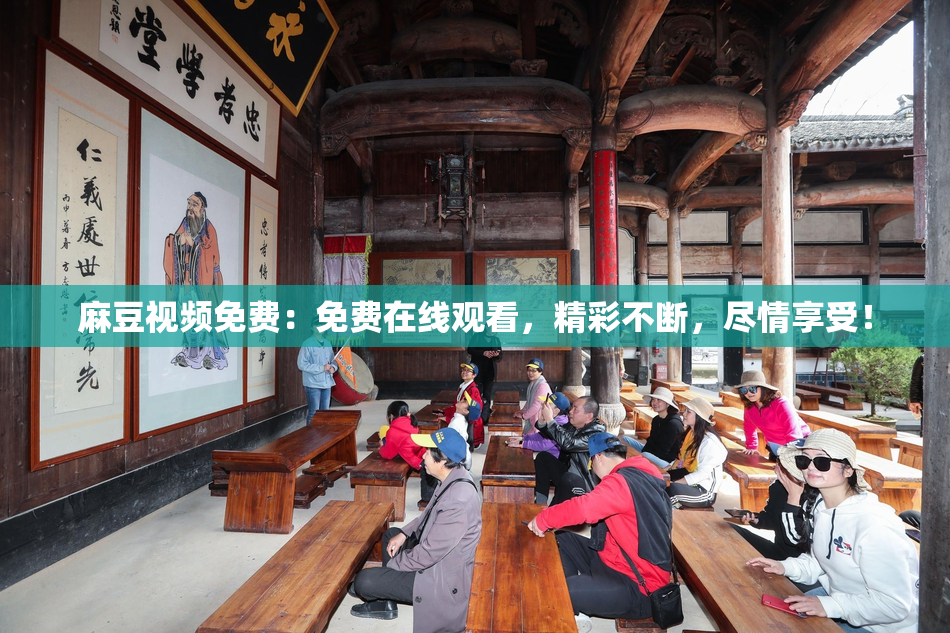 麻豆视频免费：免费在线观看，精彩不断，尽情享受！