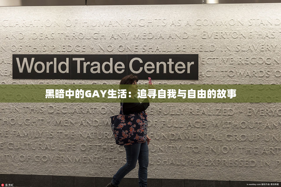 黑暗中的GAY生活：追寻自我与自由的故事