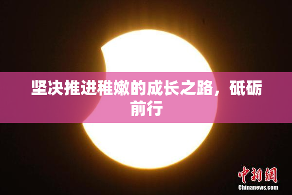 坚决推进稚嫩的成长之路，砥砺前行