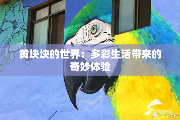 黄块块的世界：多彩生活带来的奇妙体验