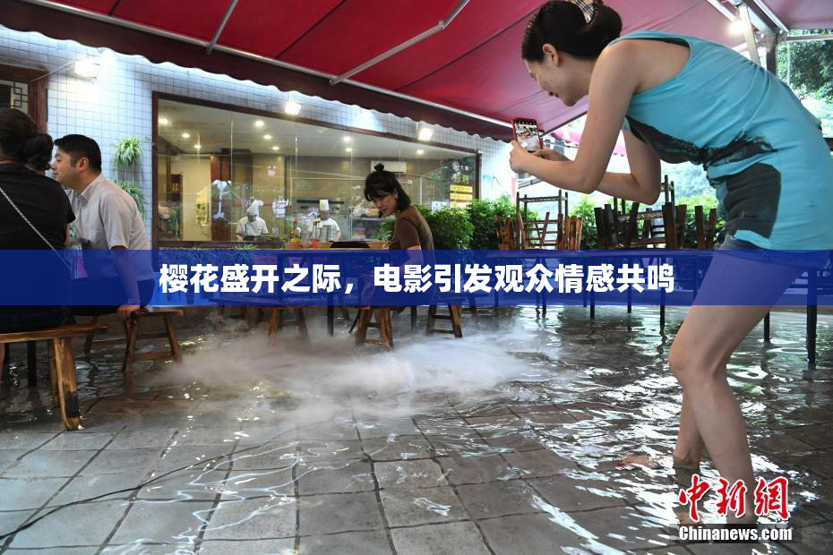樱花盛开之际，电影引发观众情感共鸣