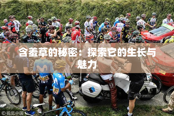 含羞草的秘密：探索它的生长与魅力