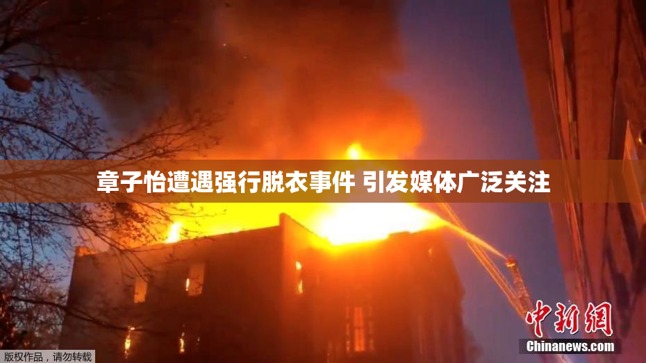 章子怡遭遇强行脱衣事件 引发媒体广泛关注