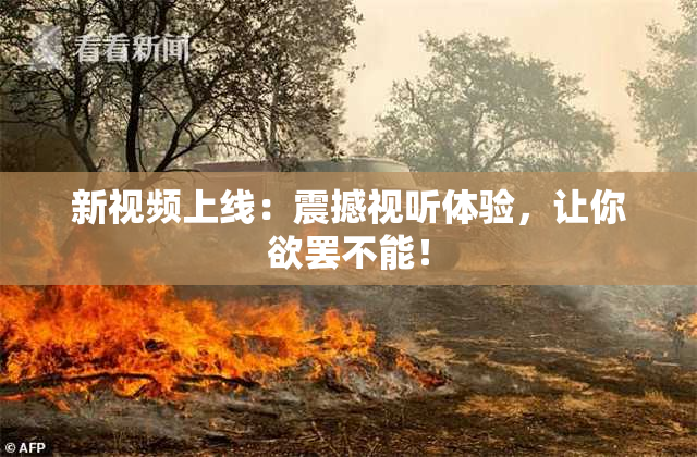新视频上线：震撼视听体验，让你欲罢不能！
