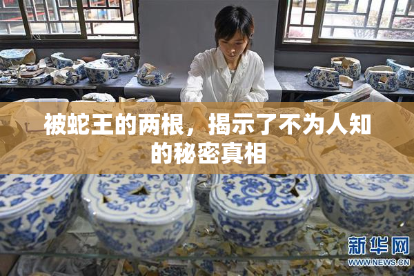 被蛇王的两根，揭示了不为人知的秘密真相