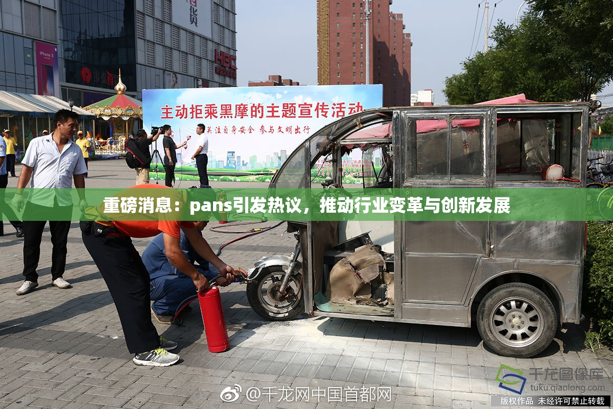 重磅消息：pans引发热议，推动行业变革与创新发展
