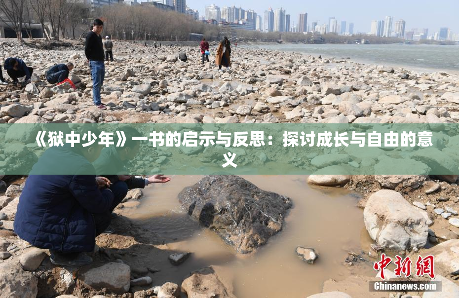《狱中少年》一书的启示与反思：探讨成长与自由的意义