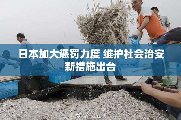 日本加大惩罚力度 维护社会治安新措施出台