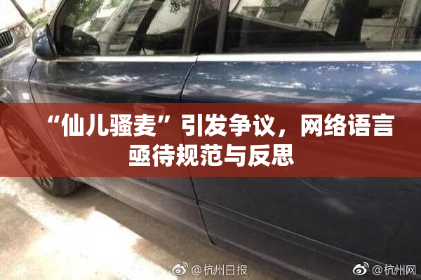 “仙儿骚麦”引发争议，网络语言亟待规范与反思
