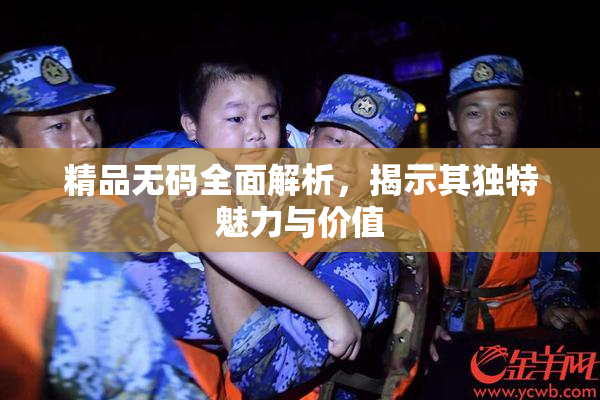 精品无码全面解析，揭示其独特魅力与价值