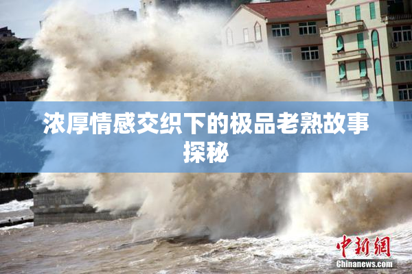 浓厚情感交织下的极品老熟故事探秘