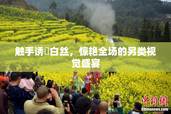 触手诱奷白丝，惊艳全场的另类视觉盛宴