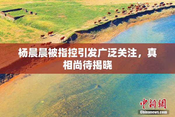 杨晨晨被指控引发广泛关注，真相尚待揭晓