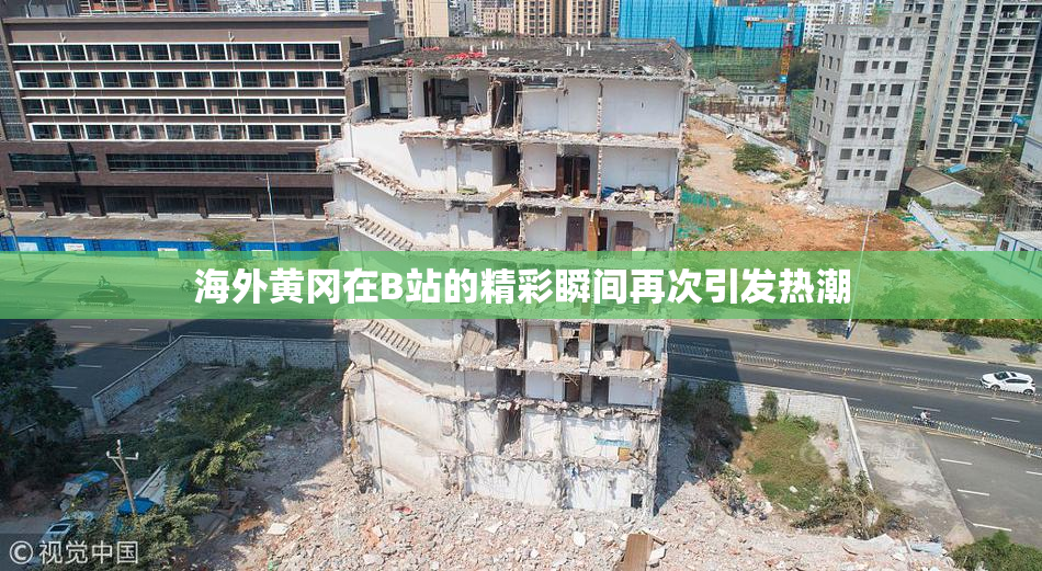 海外黄冈在B站的精彩瞬间再次引发热潮